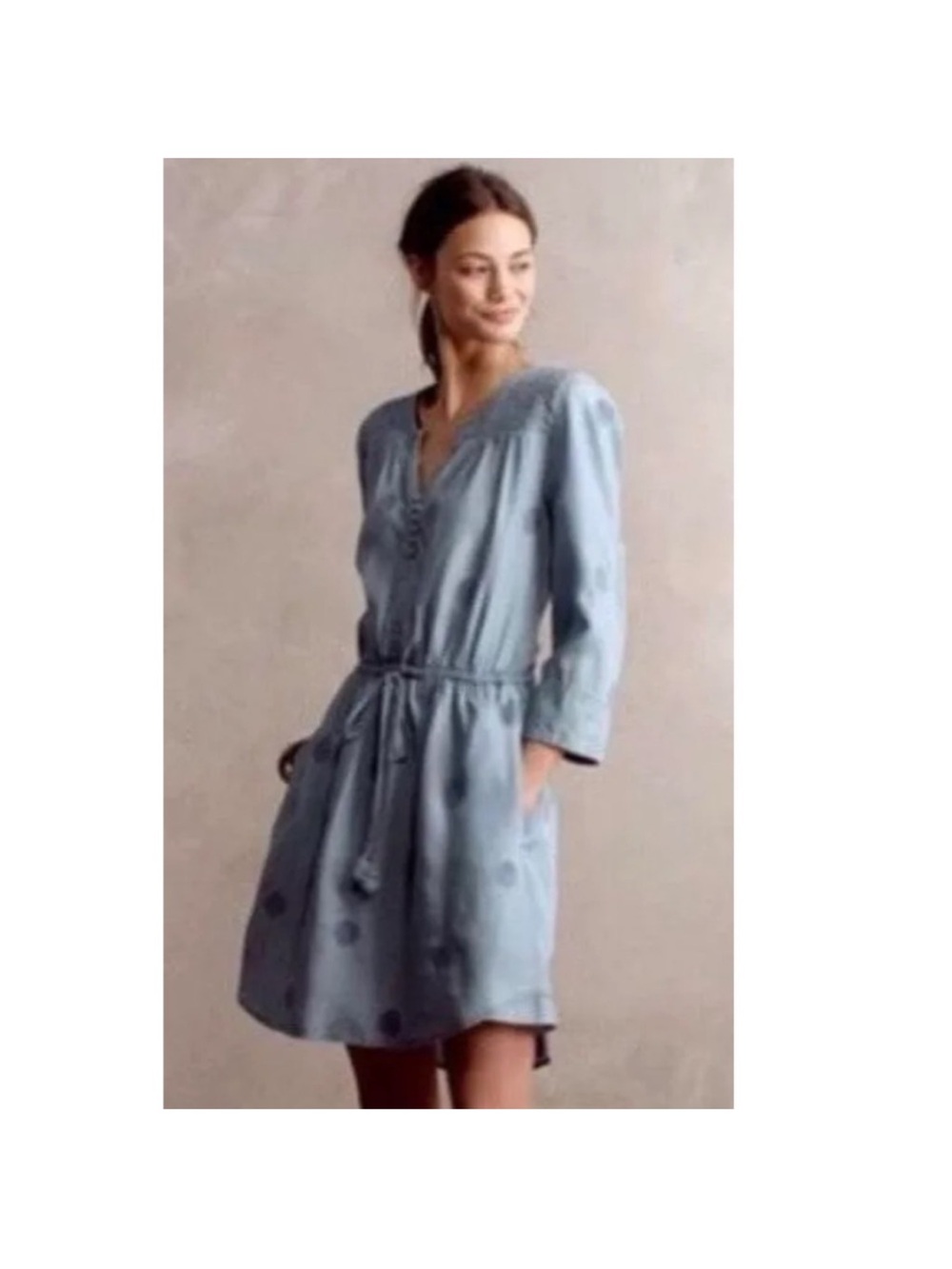 Anthropologie Holding Horses Riley Light Blue Embroidered Cotton Dress Sz M